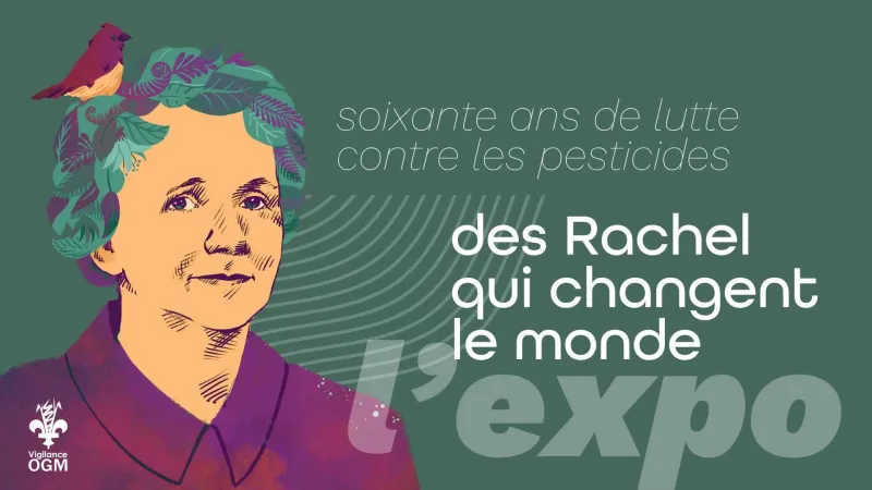 Des Rachel qui changent le monde