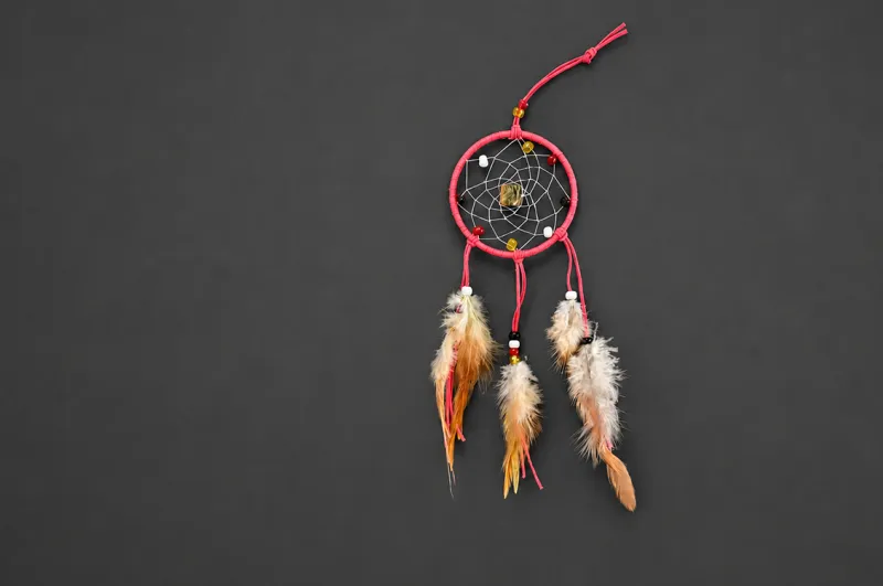 Workshop: Dreamcatcher Learning with Bougie Birch